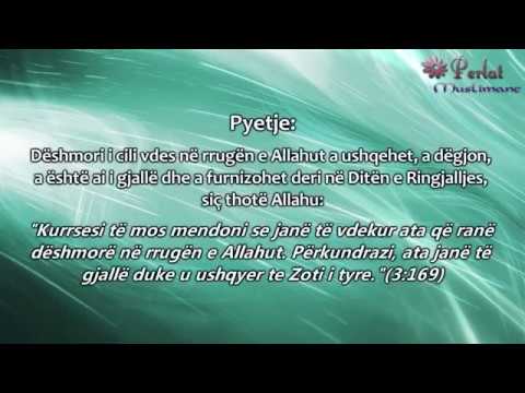 Kush janë shehidë - Bin Baz