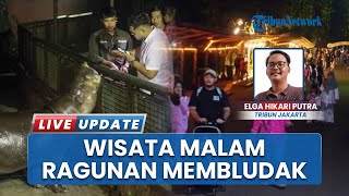 Pengunjung Ragunan Bisa Sewa Buggy Car untuk Tonton Hewan Nokturnal pada Wisata Malam Hari