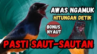 Download lagu AWAS NGAMUK PARAH🔴PANCINGAN MURAI BATU GACOR AMPUH JADIKAN MURAI BATU AGAR NYAUT BUNYI mp3