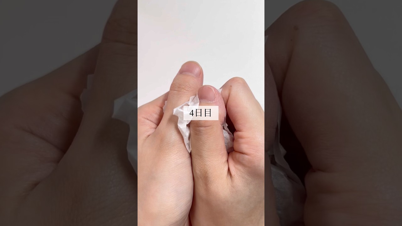 【5日後にオーダー会を開催】4日目 #polymerclay #ハンドメイド #オーダー #lapinx