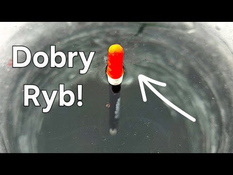 Była Wielka! Rekord z Lodu o Włos! Na spławik i Method Feeder! Wędkarstwo Podlodowe!