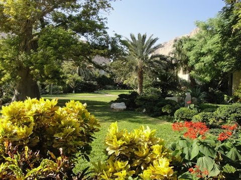 Lothar Gassmann: HEILIGUNG - notwendig, um in den Himmel zu kommen!