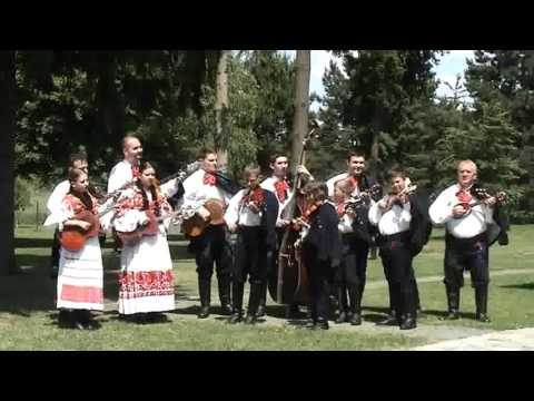 KUD MIČEVEC FILMIĆ