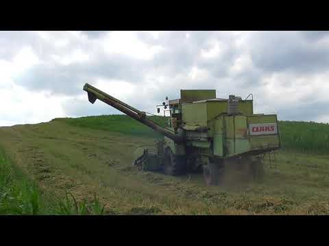 Recoltat orz Claas Dominator 85 & UTB 650