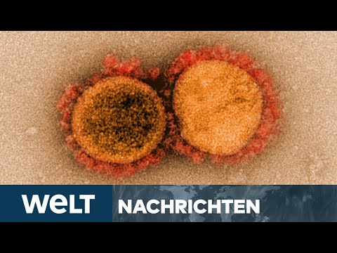 CORONA-MUTANT B.1.1.7: RKI - Britische Coronavirus-Variante wahrscheinlich schon bei uns