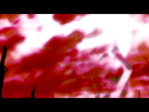 Le Portrait de Petit Cossette - Decode Myself