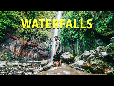 You MUST SEE this in MADEIRA (TRAVELLERS DREAM) | Madeira Travel Vlog