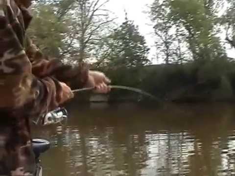 WELS CATFISH TO SPINNING IN RIVER EBRO.wmv