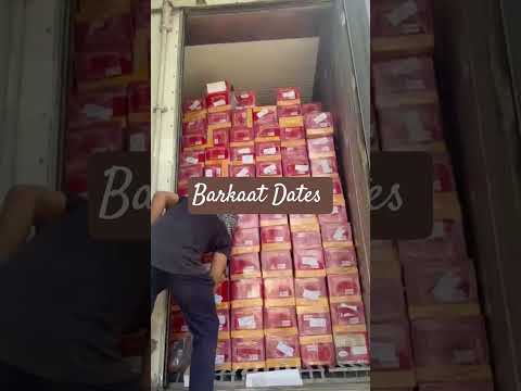 Black Kimia Gold Dates