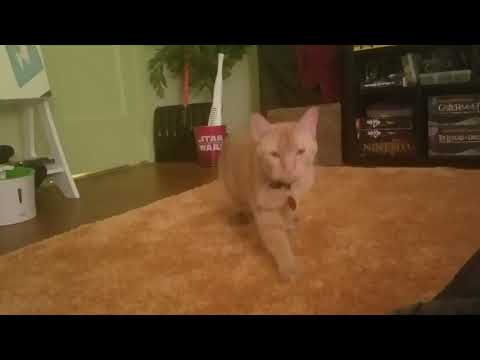 McGee comes out for first time