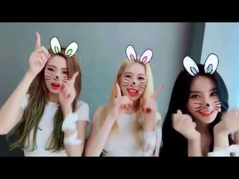 170827 D.ana, Nahyun & Euijin - Instagram Video