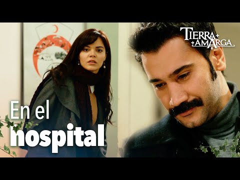 Züleyha veía la pintura de familia feliz de Yılmaz - Capítulo 63