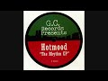 Hotmood The Rhythm Is There