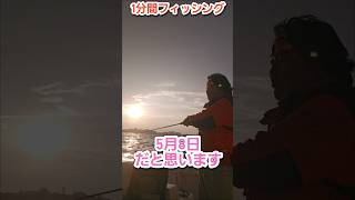 アジの釣果写真