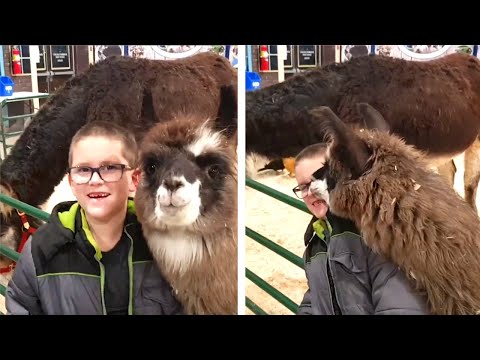 FUNNY Kids at the ZOO 🐼 | Kyoot 2023