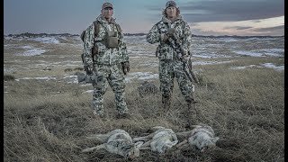 Professional Suppressed Coyote Hunting.  Predator Hunting SUPPRESSED: