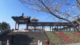 preview picture of video '春の孔子公園を散策　In Kikuchi city,Kumamto'
