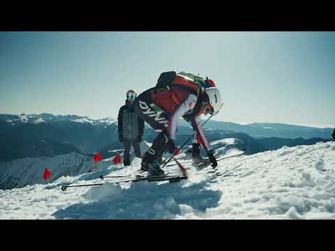 Comapedrosa World Cup 2024