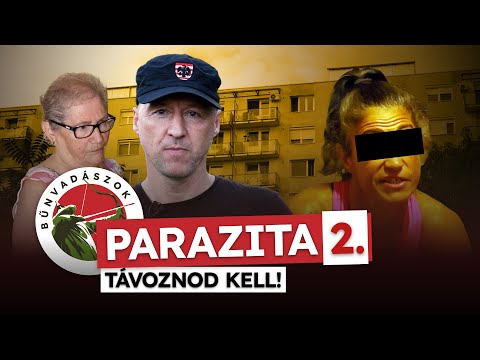 A Bűnvadászok NEM TŰRTÉK TOVÁBB a nyugdíjas néni KIHASZNÁLÁSÁT (Bűnvadászok 25.)