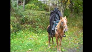 Overkill - Where there's smoke (fan video)