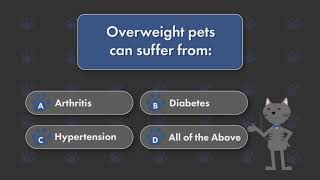 Do You Know The Effects Of An Overweight Pet?