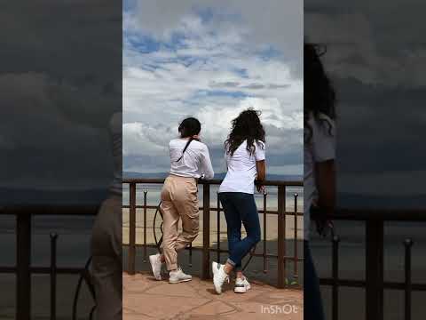 A Glimpse of a Tanzania Safari