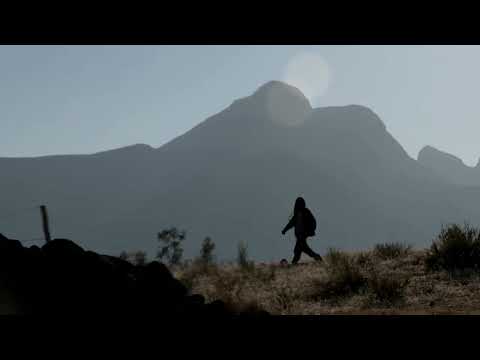 Lesotho's FM 'shocked' and 'insulted' by Trump comment | REUTERS