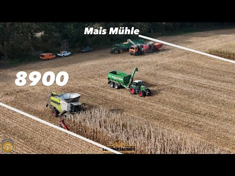 Mit dem Größten CLAAS Mähdrescher 8900 Mais Dreschen & Mais Mehlen Landwirtschaft Maisernte