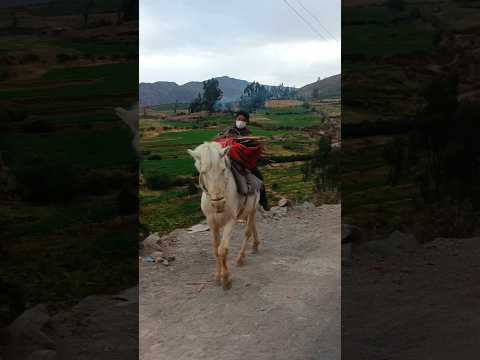 Castilla de abajo hacia arriba: un viaje por sus pueblos
