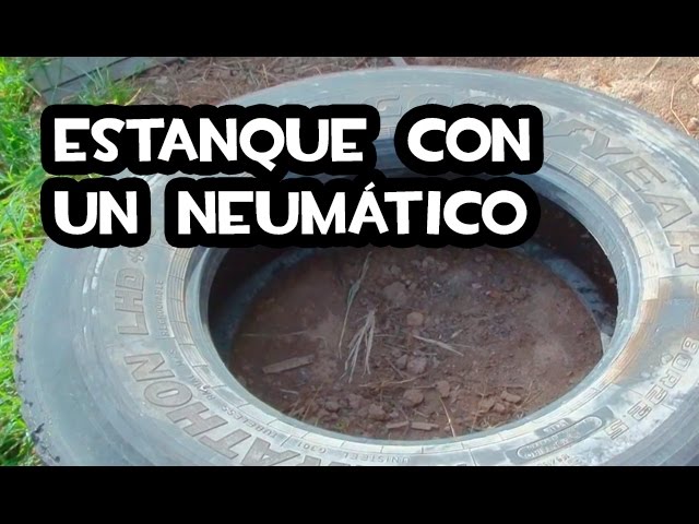 Cómo crear un estanque único con un neumático