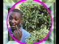 Mwathani Nithengiu