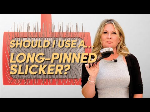 Should I Use… A Long-Pinned Slicker Brush? | Dog...