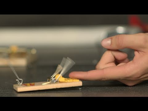 滑鼠圈套手指挑戰賽--慢吞吞的傢伙們 (Mouse Trap Finger Challenge - The Slow Mo Guys)