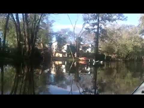 Patos en el Esperita