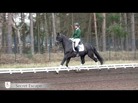 Secret Escape Secret - Dresemann