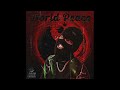 WORLD PEACE MC THC Feat ShyDim Prod By Chetan Official Audio