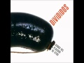 Divididos - Pepe Lui