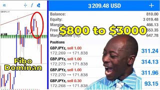 Download lagu $800 to $3000 Fibo dominan QM AO Divergence | Ahmad Danial tekniks @Danialfx mp3 Download lagu $800 to $3000 Fibo dominan QM AO Divergence | Ahmad Danial tekniks @Danialfx mp3