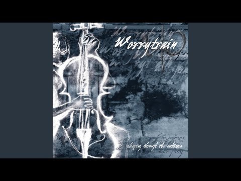 I've Come To Watch Birds Congregate