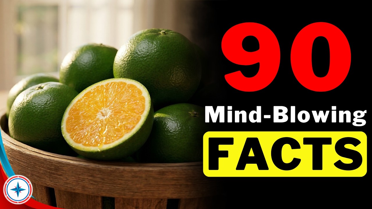 90 interesting facts ( 002 )