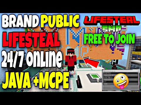 Insane Minecraft LIFESTEAL SMP - Join Now!