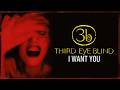 Third Eye Blind - I Want You (Official Visualizer)