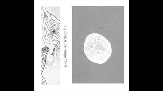 Big Thief - Wide Winged Bird