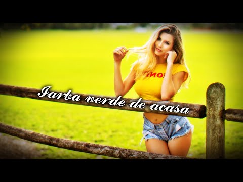 DJ GROSSU _ Iarba verde de acasa | Romanian Music Etno ( Official song )