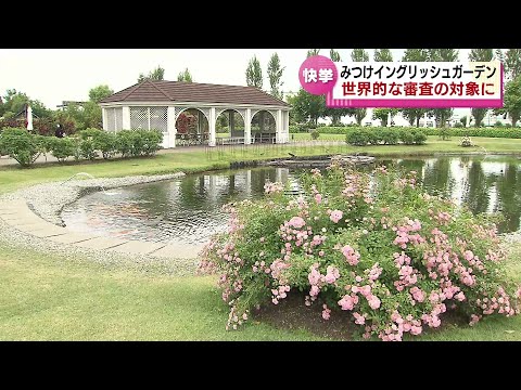 園芸 ウィンターガマズミ、ボドナントガマズミ