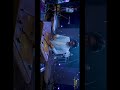 Ve Kamliya Cover Mjlive Music Melodiesforsoul Instrumentalmusic Santoor Livemusical Song