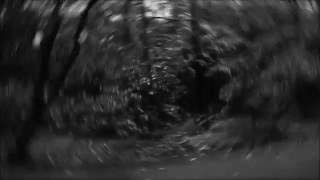 FLUXION - Regional Shift