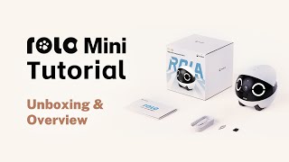 enabot ROLA Mini Companion Robot 254564R B&H Photo Video