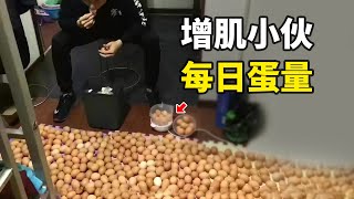 Re: [討論] 各個營養素攝取比例