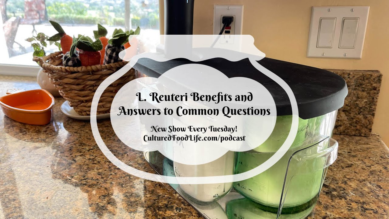 Podcast Episode 205: L. Reuteri Benefits and Answers to Common Questions